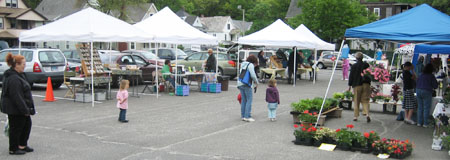 Not busy day at the Springfield farmers market