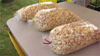 Bagging and Sealing kettle corn
