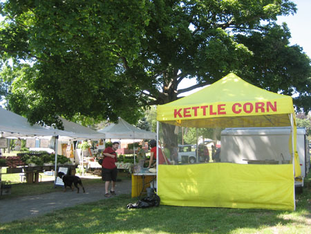Framingham Farmers Market w tree