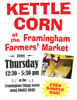 Framingham Poster